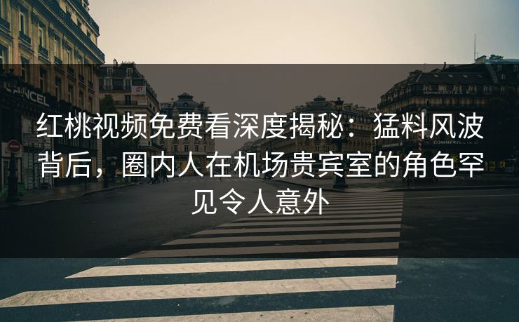 红桃视频免费看深度揭秘：猛料风波背后，圈内人在机场贵宾室的角色罕见令人意外