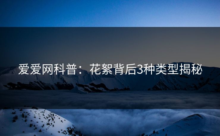 爱爱网科普：花絮背后3种类型揭秘