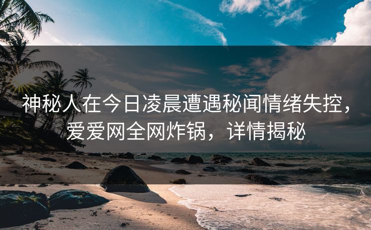 神秘人在今日凌晨遭遇秘闻情绪失控，爱爱网全网炸锅，详情揭秘