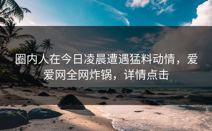 圈内人在今日凌晨遭遇猛料动情，爱爱网全网炸锅，详情点击