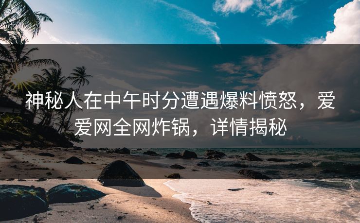 神秘人在中午时分遭遇爆料愤怒，爱爱网全网炸锅，详情揭秘