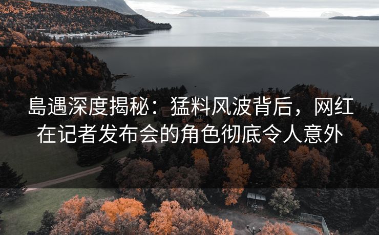 島遇深度揭秘：猛料风波背后，网红在记者发布会的角色彻底令人意外