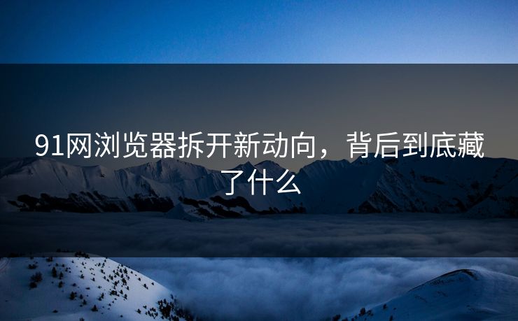 91网浏览器拆开新动向，背后到底藏了什么